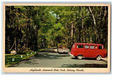 1966 Highlands Hammock State Park Sebring Florida FL Vintage Postcard picture