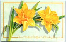 Postcard - Great Yellow Daffodil: Chivalry, Regard picture