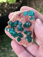 Dioptase Crystals On Matrix, Mashamba West Mine DRC 66g picture
