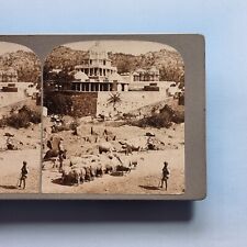 Mount Abu Stereoview 3D C1880 Real Photo India Temple Sheep Farmers picture