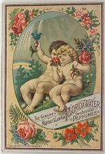 Murray & Lanman Flower Water Perfume 1881 Trade Card~Two Nude Cherubs & Flowers picture
