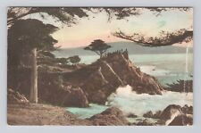 Postcard Midway Point 17 Mile Drive Del Monte California Hand Colored picture