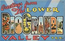 Vintage Linen Postcard Large Letter Greetings Lower Rio Grande Valley Texas TX picture