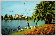 Postcard - Lake Eola - Orlando, Florida - Birds, circa 1950s, Unposted (M7n) picture