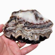 Old Vein Crazy Lace Agate Slab Lapidary Stone Slab picture