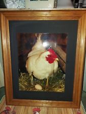 Vintage White Rooster Print Bold Color Compliment Any Kitchen  Decor picture
