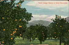 Postcard: From Orange Groves to Snow Mountains. picture