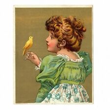 Victorian Trade Card Girl Canary Bird Standard Coffee Schnull-Krag Gibson 1890's picture