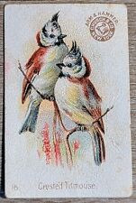 1898 J2a AH501 Church & Co Arm & Hammer Beautiful Birds SMALL #16 Titmouse picture
