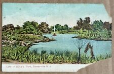 Lake in Duke's Park, Somerville New Jersey NJ Vintage Postcard 1909 picture