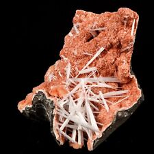 Scolecite Sprays Inside Heulandite Geode Natural Mineral Specimen # B 5803 picture