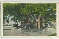 HONOLULU HI Hawaii The Famous BANYAN TREE c1910 Cars Antique Postcard A1 picture