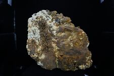 Ludwigite / 14.6cm Large Cabinet Mineral Specimen / Spring Mountain, Idaho picture