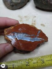 🔥12 PC LOT AUSTRALIAN AGATE NODULES ROUGH RAW LAPIDARY SLAB SAW CABBING  picture