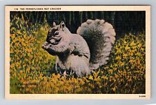 PA- Pennsylvania, Nut Cracker, Antique, Vintage c1945 Souvenir Postcard picture