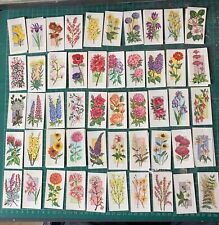 Carreras Black Cat Flowers all year round 1977 complete Set 50 Cards plus spares picture