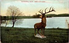 Haverhill, Massachusetts Deer And Lake  Postcard UNP picture