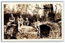Redwood California CA Postcard RPPC Photo Logging Occupational c1910's Antique picture