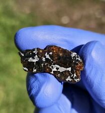Meteorite**NWA Unc. Pallasite**6.552 gram, New Gorgeous Etched Pallasite  picture