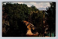 Celina TN-Tennessee, Dale Hollow Lake, Old Swinging Bridge, Vintage Postcard picture