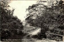 EARLY 1900'S. ROAD TO 7 BRIDGES. MARSHALLS CREEK, PA. POSTCARD r3 picture