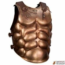 Medieval Steel The Eagle - Marcus Aquila Cuirass Warrior Breastplate Armor Suit picture