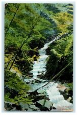 1909 Nature Scene In The Glen, Towanda Pennsylvania PA Antique Postcard picture