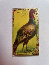 1910  Imperial Tobacco Game Bird Series #12 The Wild Turkey Antique Vtg Birds picture