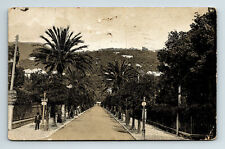 c1924 Postcard Nervi Viale Vittorio Italy Emanuele Street Palms picture
