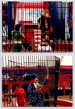 c1980s Lion Tricks~Circus Show~Bozo Clown~Animal Performance~2 Vintage Photos picture