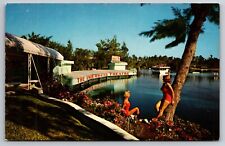Famous Underwater Theater Weeki Wachee Spring Florida Chrome c1950 Postcard picture