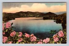 Lake Santeetlah NC-North Carolina, Great Smoky Mountains, Vintage Postcard picture