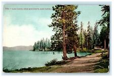c1910's Lake Tahoe Near McKinney's California CA Unposted Antique Postcard picture