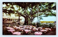 Moana Hotel Banyan Court Lani Honolulu HI Postcard picture