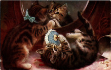 1906 Kittens Playing Postcard Raphael Tuck's Oilette 9157 Unposted England picture