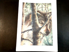 Wolf theme Christmas Cards - 18 cards & envelopes Gibson Greetings picture