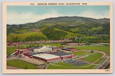 Elizabethton Tennessee American Bemberg Plant Linen Postcard picture