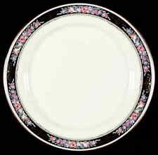 Mikasa Midnight Sky Dinner Plate 384962 picture