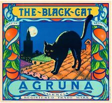 Valencia Spain Spanish The Black Cat Orange Citrus Fruit Crate Label Art Print picture