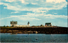 Vintage 1960s Shore View Goat Island Light House Kennebunkport Maine ME Postcard picture