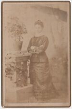 CIRCA 1880s CABINET CARD DENSMORE NILES MICHIGAN GORGEOUS YOUNG LADY IN DRESS picture