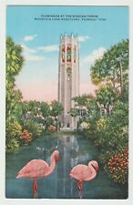 Florida, Lake Wales, Flamingos at Singing Tower picture