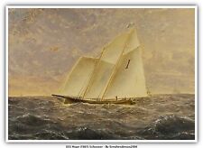 USS Hope (1861) Schooner picture