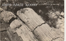 RPPC-Logs-Petrified Forest-Near Calistoga-California-CA-Napa picture