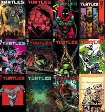 Teenage Mutant Ninja Turtles #1  2024   Cover Select  IDW FIRST ISSUE *PRESALE* picture