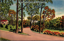Vintage 1945 Entrance to Union Park, Des Moines Iowa IA Postcard  picture