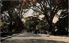 Vtg Beverly Massachusetts MA View of Historic Elm Hale Street 1910s Postcard picture