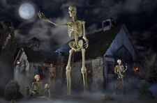 12 Ft GIANT SKELLY Skeleton with MOVING LIGHT LCS Eyes SHIPS MAY HOME DEPOT picture