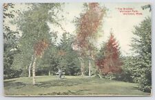 State View~Birches @ Whitman Park Whitman Massachusetts~Vintage Postcard picture