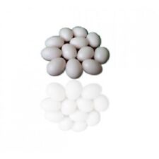 Pigeon Product - Dummy Eggs for pigeons- 10pk picture